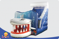 Tobogã Tubarão Médio